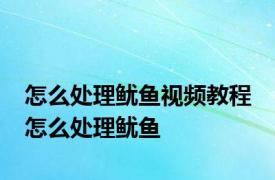 怎么处理鱿鱼视频教程 怎么处理鱿鱼