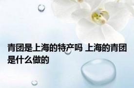 青团是上海的特产吗 上海的青团是什么做的