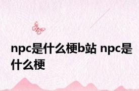 npc是什么梗b站 npc是什么梗