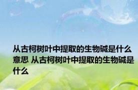 从古柯树叶中提取的生物碱是什么意思 从古柯树叶中提取的生物碱是什么