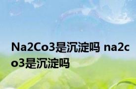 Na2Co3是沉淀吗 na2co3是沉淀吗