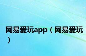 网易爱玩app（网易爱玩）