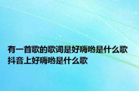 有一首歌的歌词是好嗨哟是什么歌 抖音上好嗨哟是什么歌