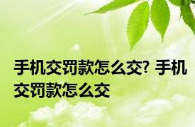 手机交罚款怎么交? 手机交罚款怎么交