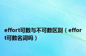 effort可数与不可数区别（effort可数名词吗）