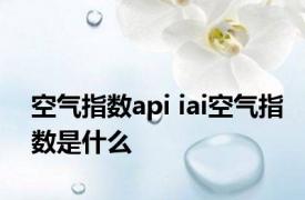 空气指数api iai空气指数是什么