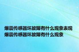 爆震传感器坏故障有什么现象表现 爆震传感器坏故障有什么现象