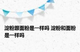 淀粉跟面粉是一样吗 淀粉和面粉是一样吗