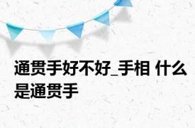 通贯手好不好_手相 什么是通贯手