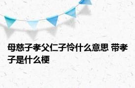 母慈子孝父仁子怜什么意思 带孝子是什么梗