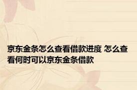 京东金条怎么查看借款进度 怎么查看何时可以京东金条借款