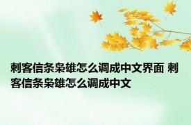 刺客信条枭雄怎么调成中文界面 刺客信条枭雄怎么调成中文