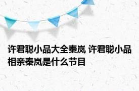 许君聪小品大全秦岚 许君聪小品相亲秦岚是什么节目