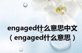 engaged什么意思中文（engaged什么意思）