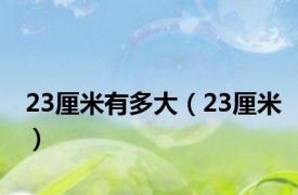 23厘米有多大（23厘米）