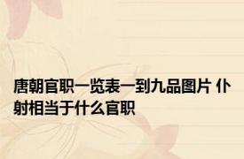 唐朝官职一览表一到九品图片 仆射相当于什么官职