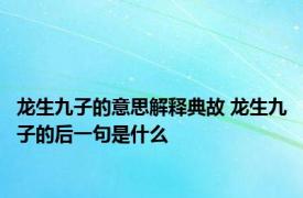 龙生九子的意思解释典故 龙生九子的后一句是什么