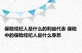 保险经纪人是什么的利益代表 保险中的保险经纪人是什么意思