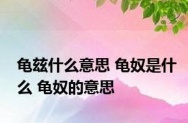 龟玆什么意思 龟奴是什么 龟奴的意思