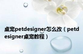 桌宠petdesigner怎么改（petdesigner桌宠教程）