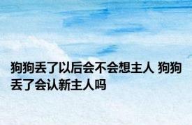 狗狗丢了以后会不会想主人 狗狗丢了会认新主人吗