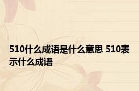 510什么成语是什么意思 510表示什么成语