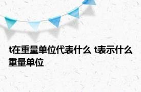 t在重量单位代表什么 t表示什么重量单位