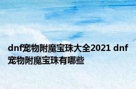 dnf宠物附魔宝珠大全2021 dnf宠物附魔宝珠有哪些