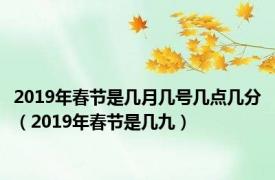 2019年春节是几月几号几点几分（2019年春节是几九）