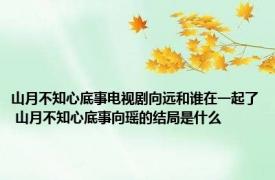 山月不知心底事电视剧向远和谁在一起了 山月不知心底事向瑶的结局是什么