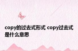 copy的过去式形式 copy过去式是什么意思