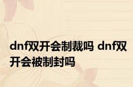 dnf双开会制裁吗 dnf双开会被制封吗