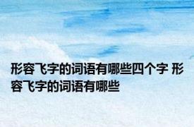 形容飞字的词语有哪些四个字 形容飞字的词语有哪些