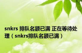 snkrs 排队名额已满 正在等待处理（snkrs排队名额已满）