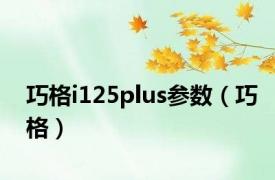 巧格i125plus参数（巧格）