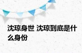 沈琼身世 沈琼到底是什么身份