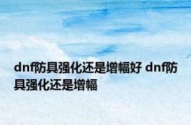 dnf防具强化还是增幅好 dnf防具强化还是增幅