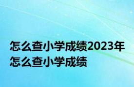 怎么查小学成绩2023年 怎么查小学成绩