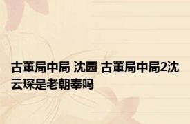 古董局中局 沈园 古董局中局2沈云琛是老朝奉吗