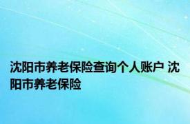 沈阳市养老保险查询个人账户 沈阳市养老保险 