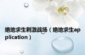 绝地求生刺激战场（绝地求生application）