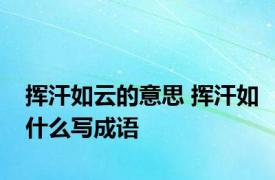 挥汗如云的意思 挥汗如什么写成语