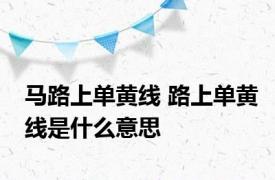 马路上单黄线 路上单黄线是什么意思