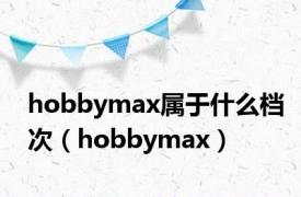 hobbymax属于什么档次（hobbymax）