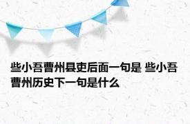 些小吾曹州县吏后面一句是 些小吾曹州历史下一句是什么