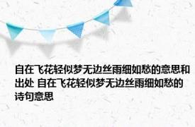 自在飞花轻似梦无边丝雨细如愁的意思和出处 自在飞花轻似梦无边丝雨细如愁的诗句意思