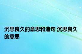 沉思良久的意思和造句 沉思良久的意思