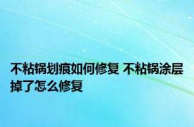 不粘锅划痕如何修复 不粘锅涂层掉了怎么修复