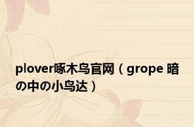 plover啄木鸟官网（grope 暗の中の小鸟达）