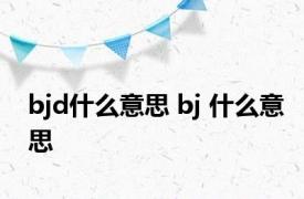 bjd什么意思 bj 什么意思